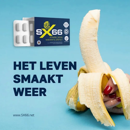 SX66 Inname